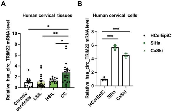 J Cancer Image