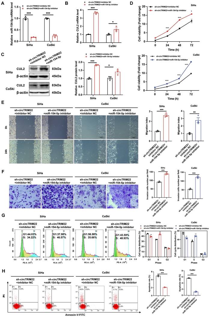 J Cancer Image