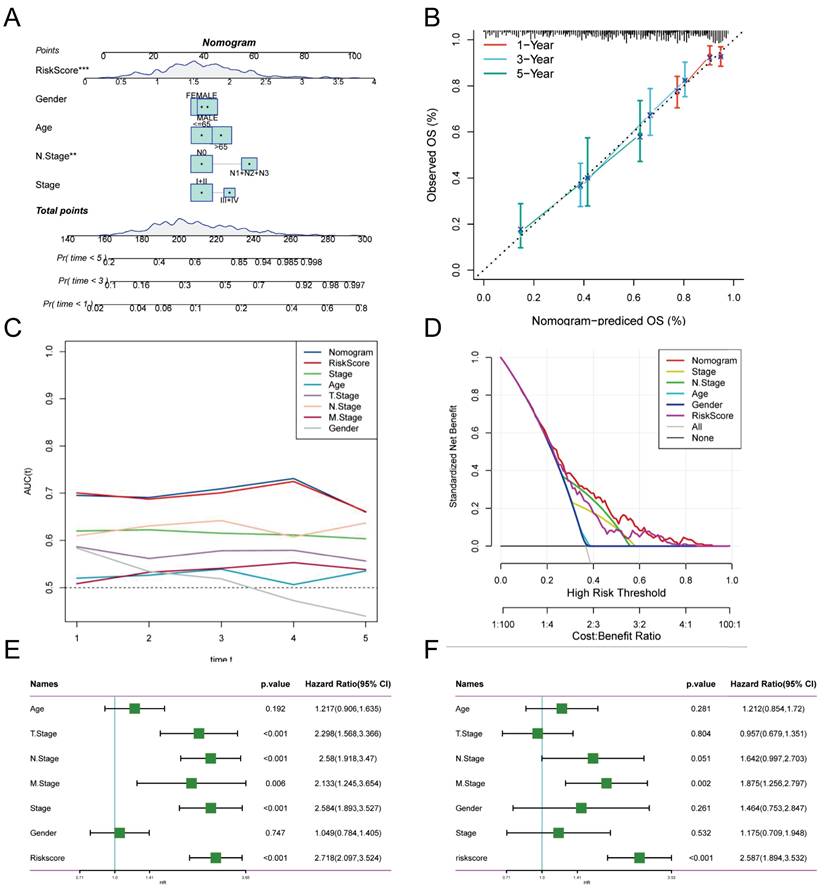 J Cancer Image