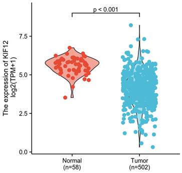 J Cancer Image