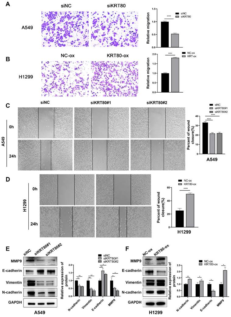 J Cancer Image