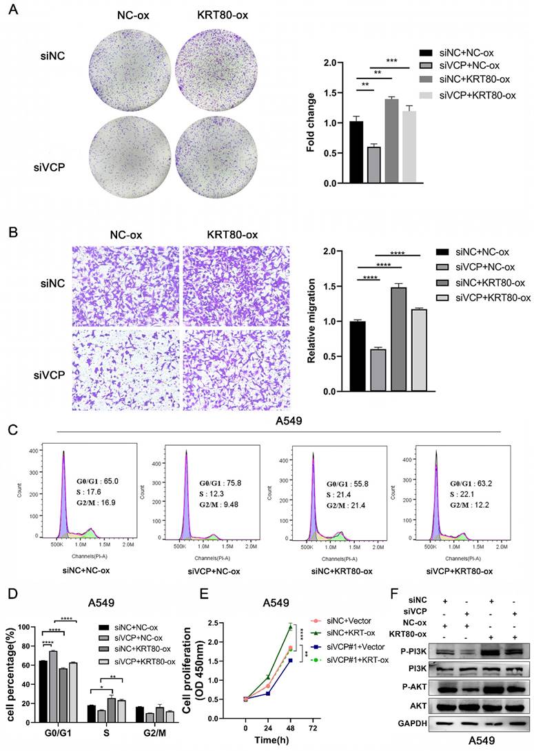 J Cancer Image