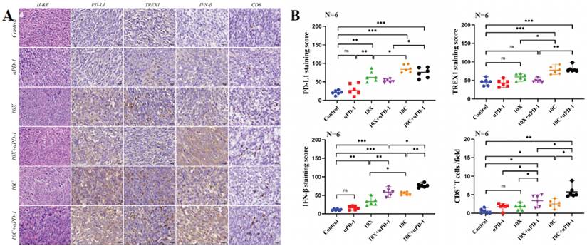 J Cancer Image