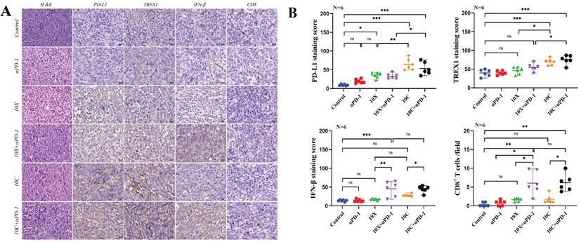 J Cancer Image