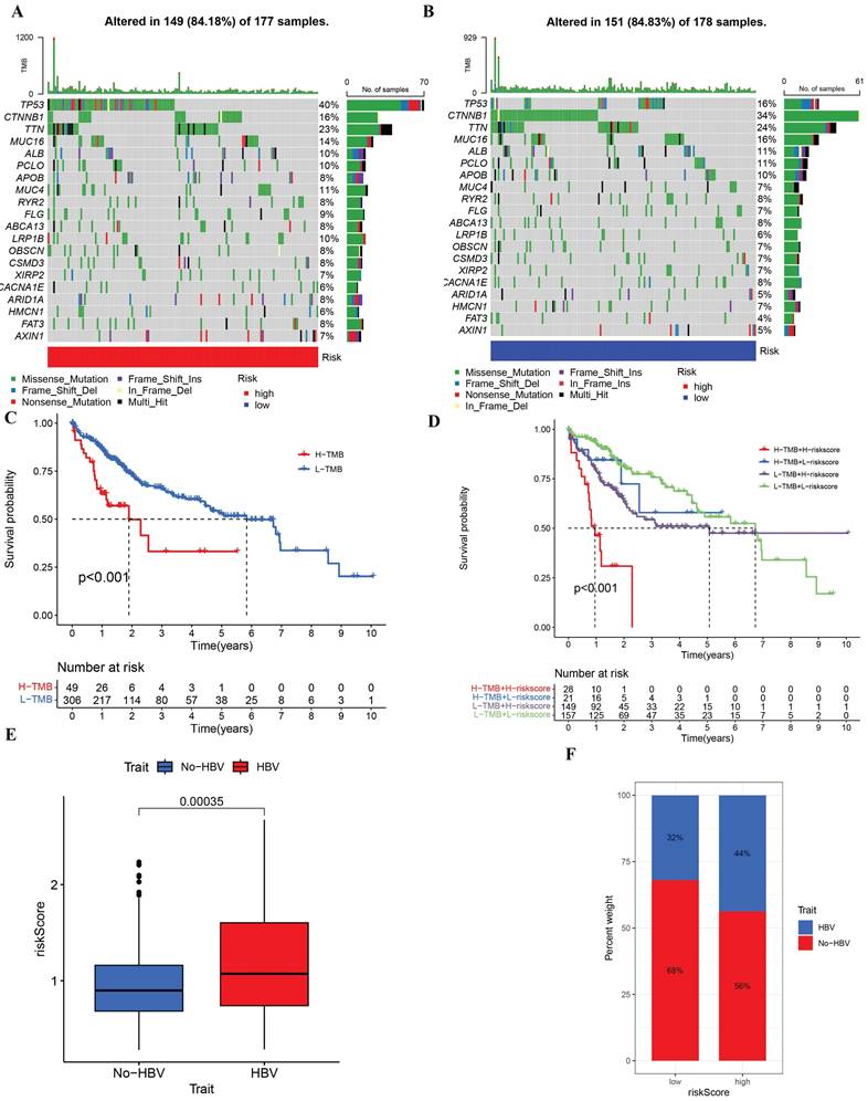 J Cancer Image