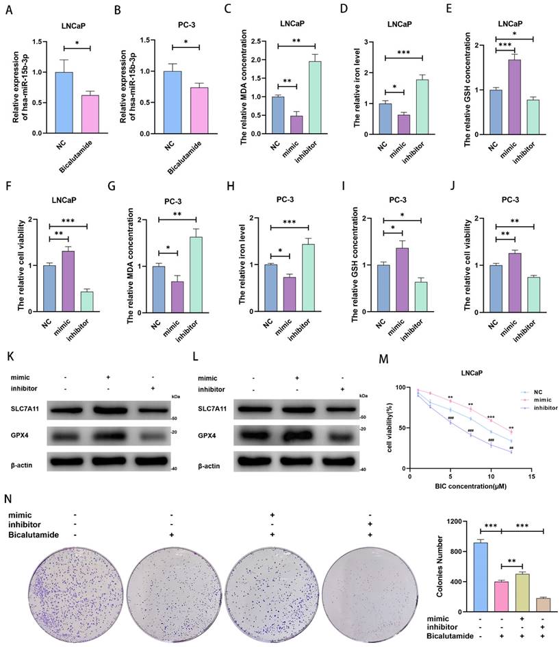 J Cancer Image