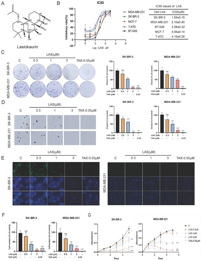 J Cancer Image