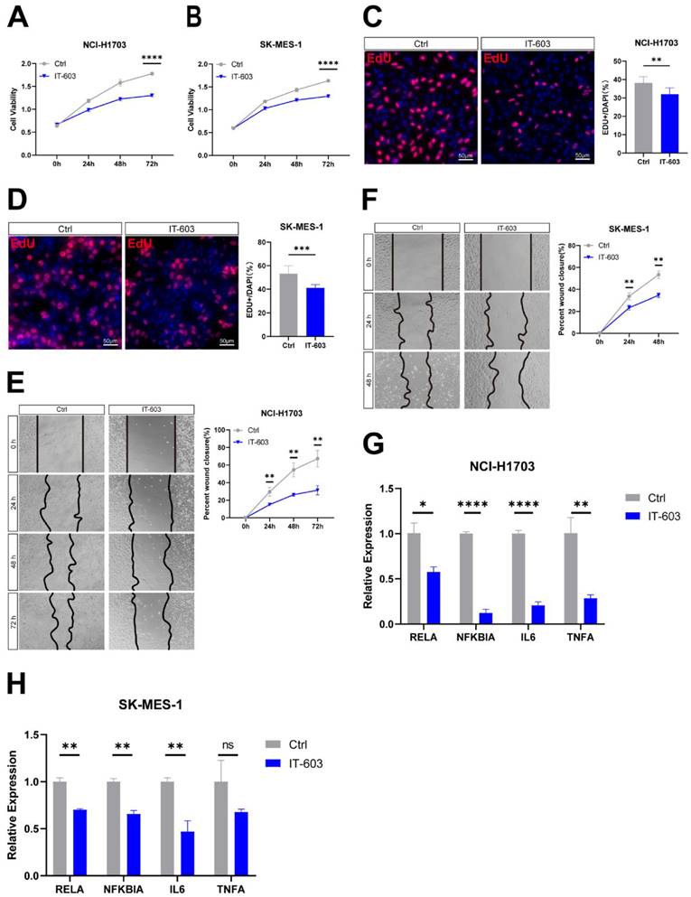 J Cancer Image