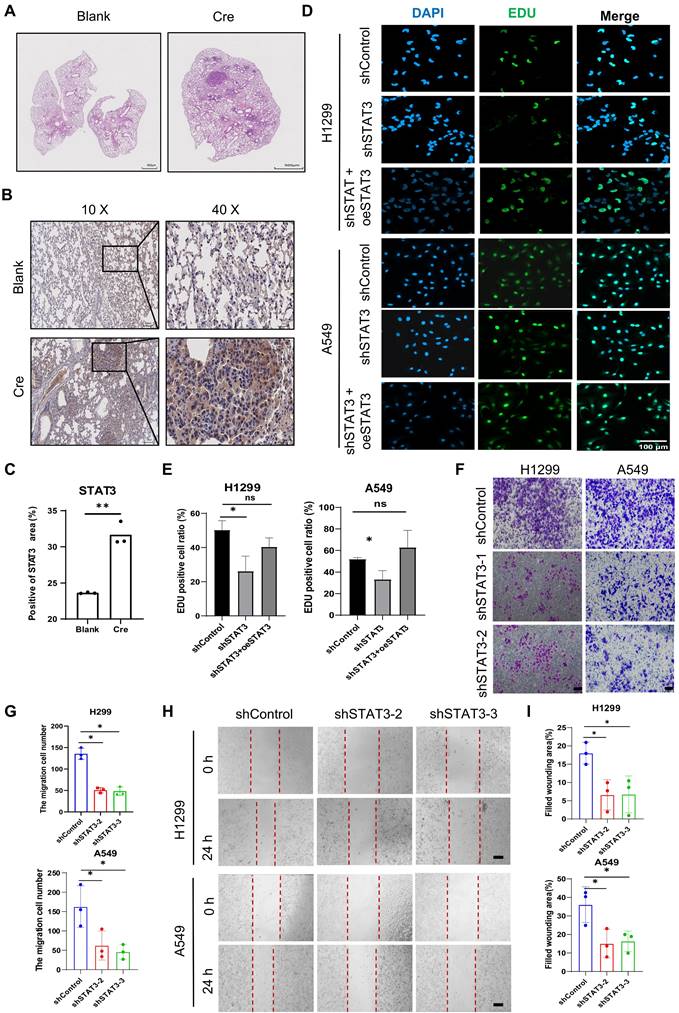 J Cancer Image