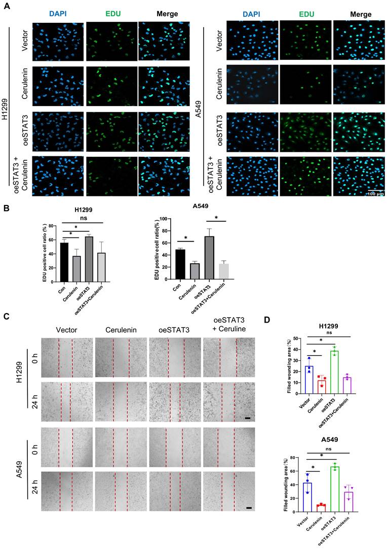 J Cancer Image