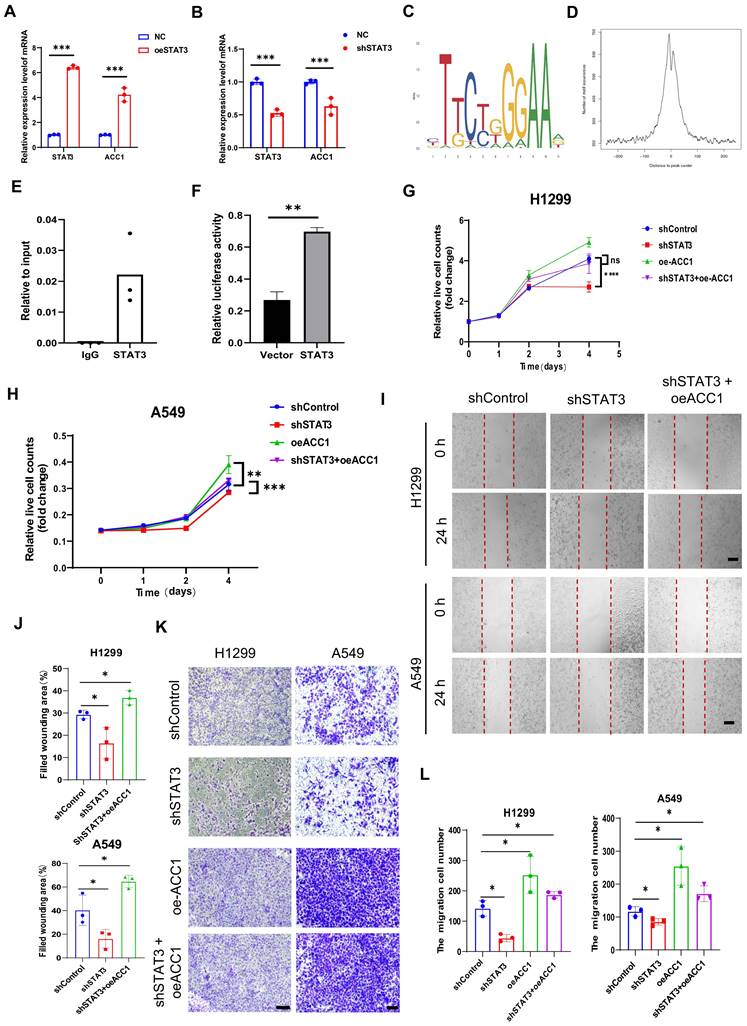 J Cancer Image