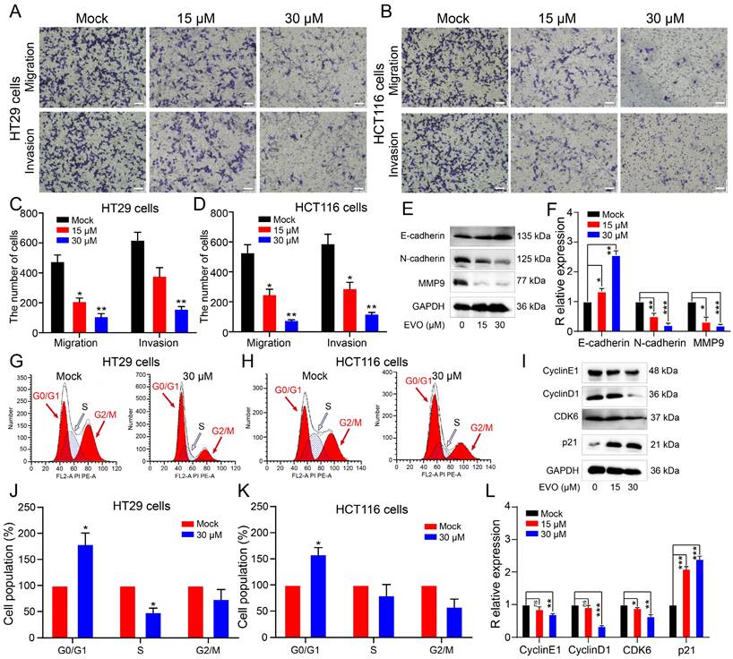 J Cancer Image