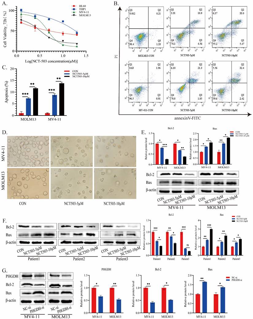 J Cancer Image