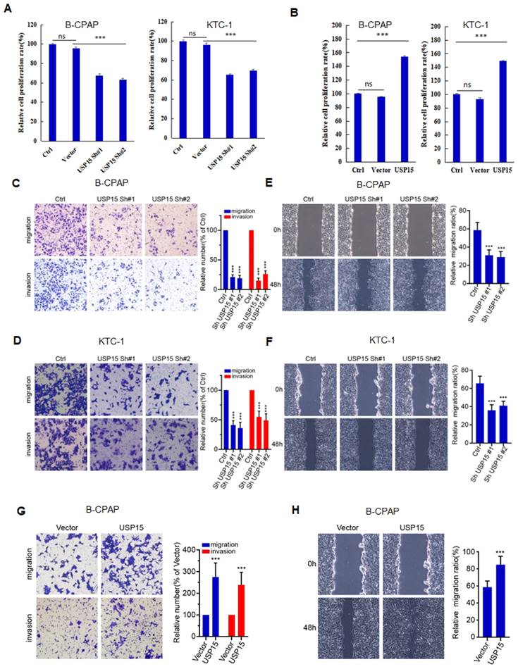 J Cancer Image