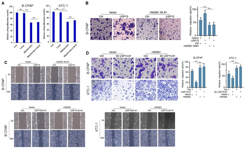 J Cancer Image