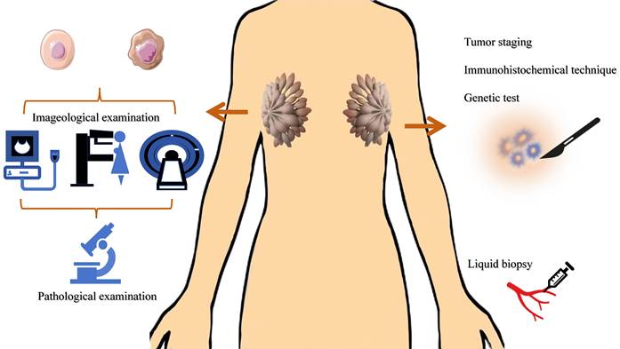 J Cancer Image