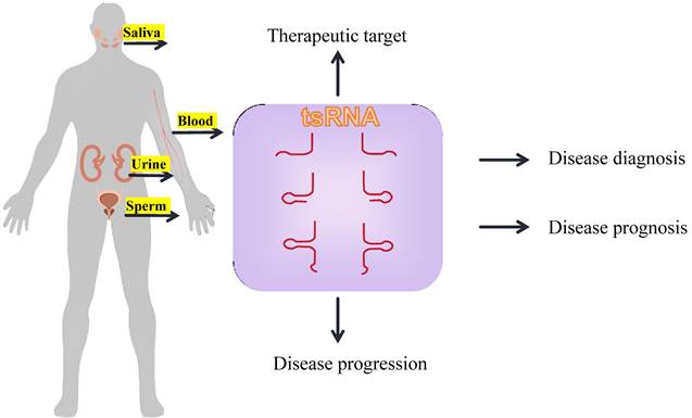 J Cancer Image