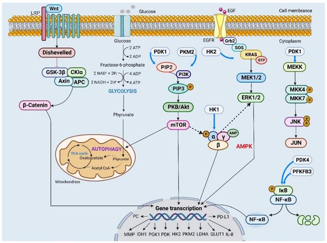 J Cancer Image