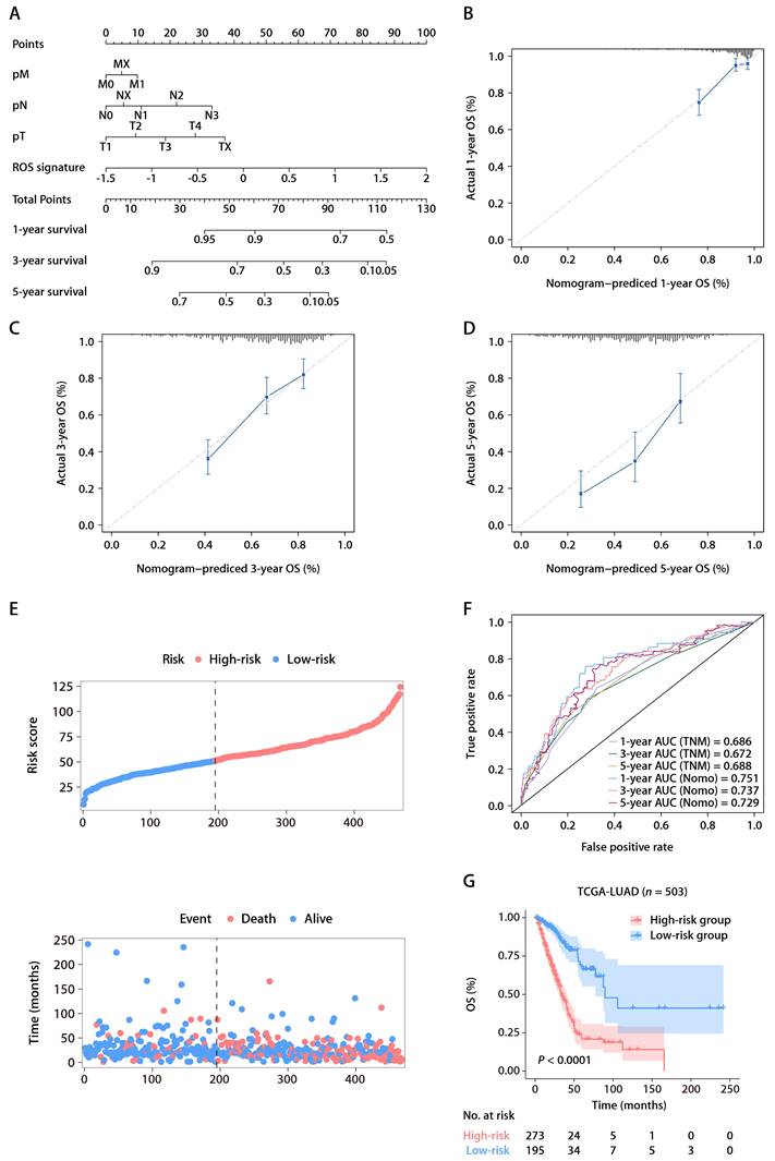 J Cancer Image