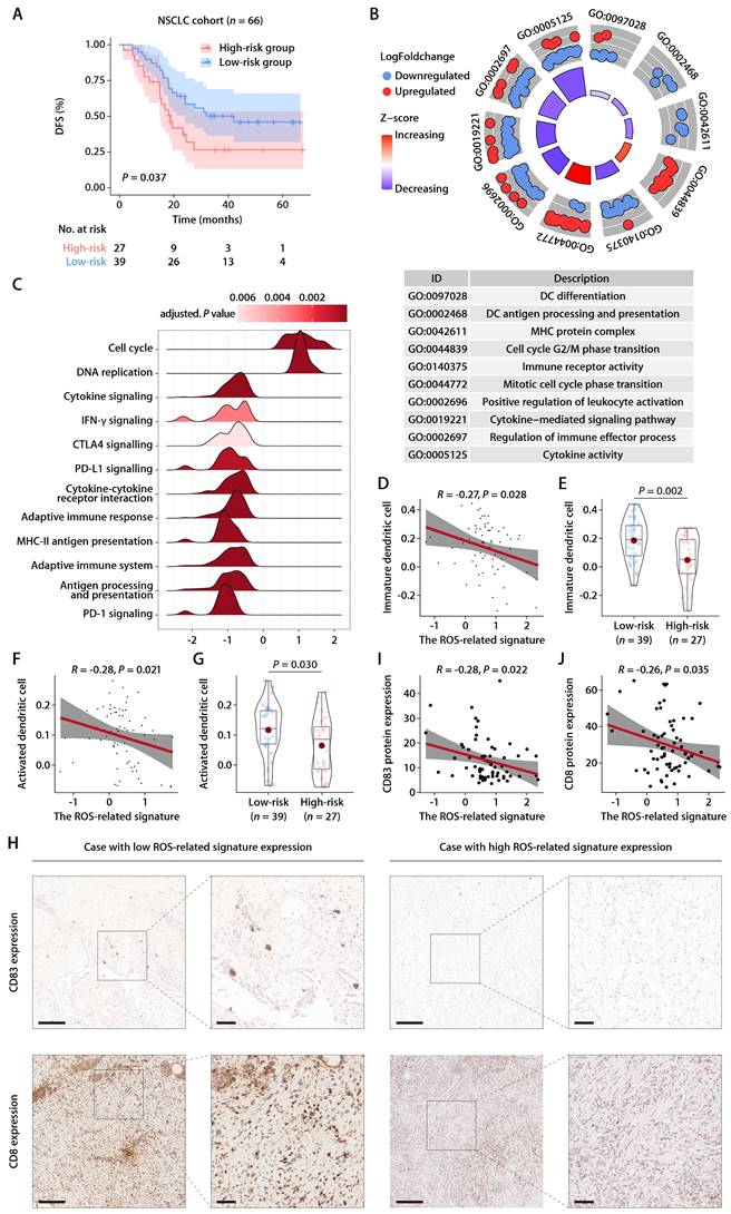 J Cancer Image