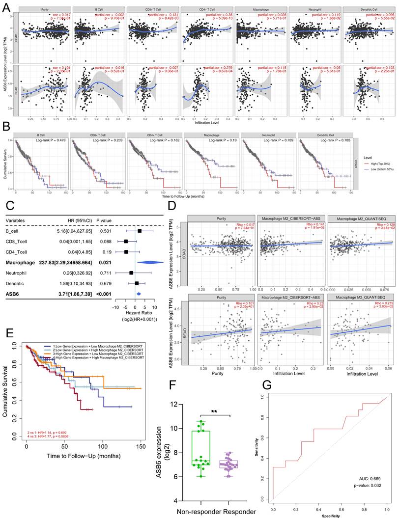 J Cancer Image