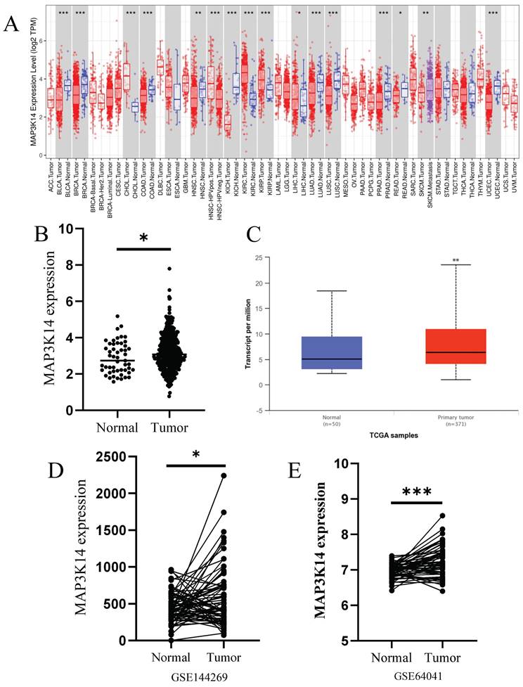 J Cancer Image