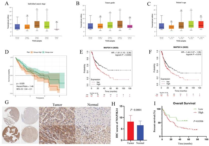 J Cancer Image