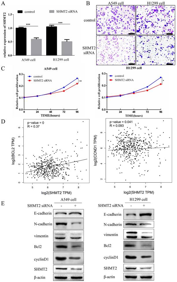 J Cancer Image