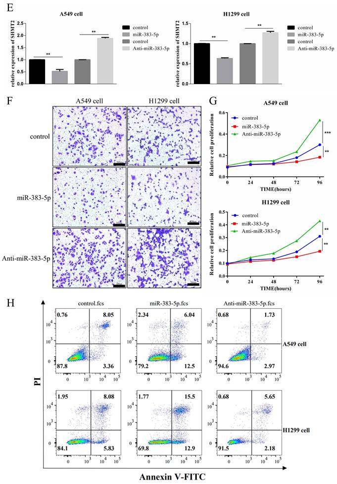 J Cancer Image