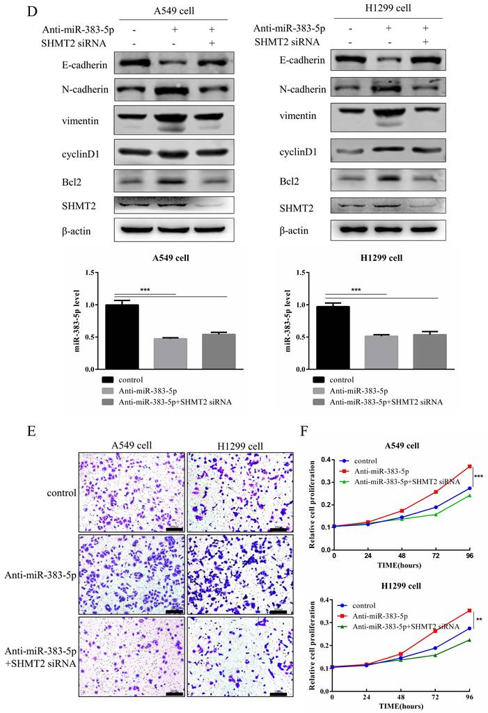 J Cancer Image