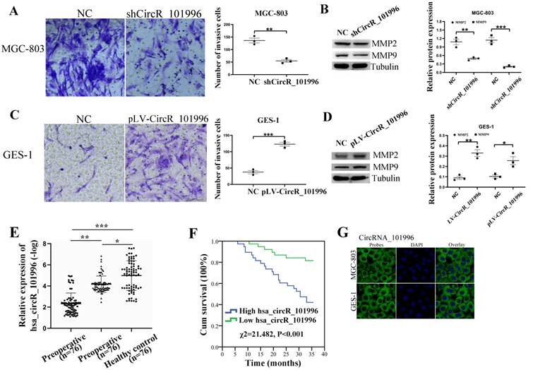 J Cancer Image