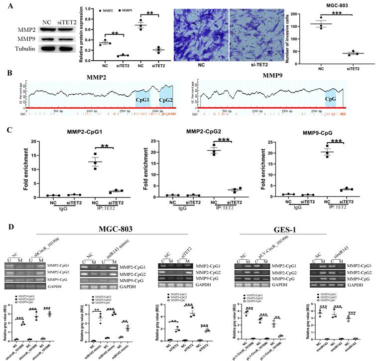 J Cancer Image