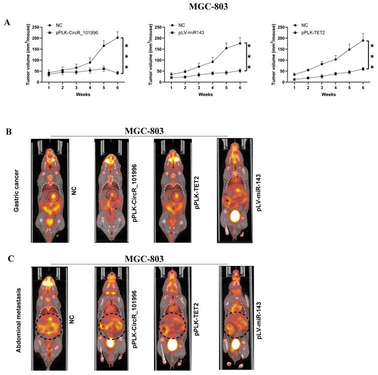 J Cancer Image