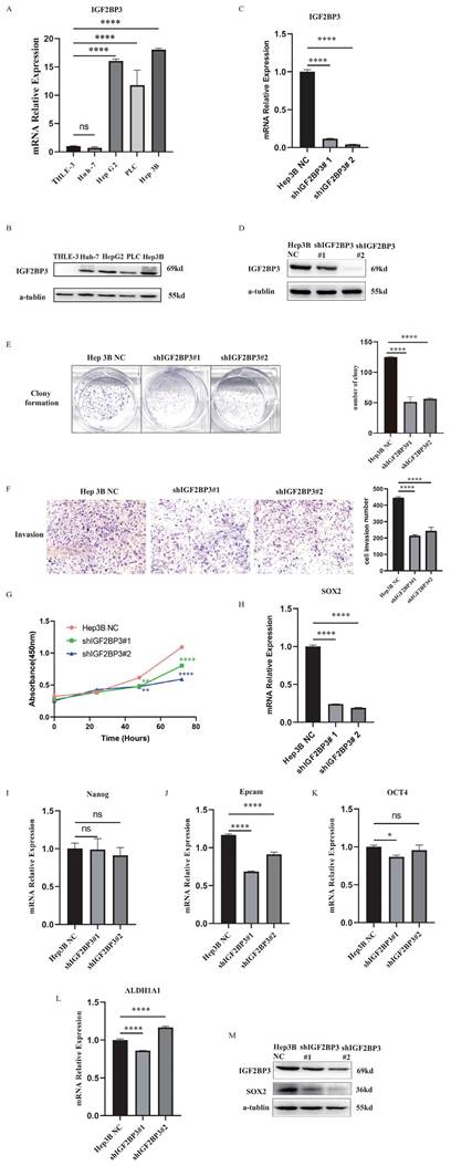 J Cancer Image