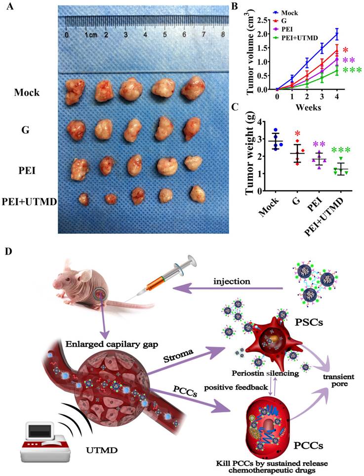 J Cancer Image