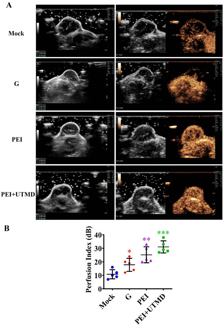 J Cancer Image