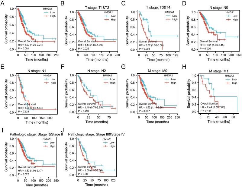 J Cancer Image