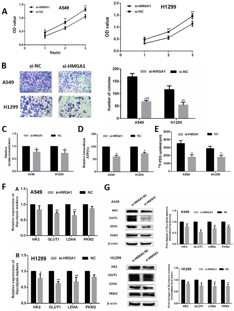 J Cancer Image