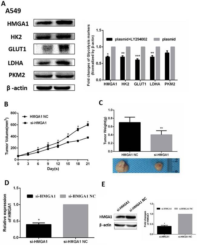 J Cancer Image