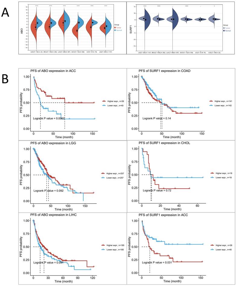 J Cancer Image