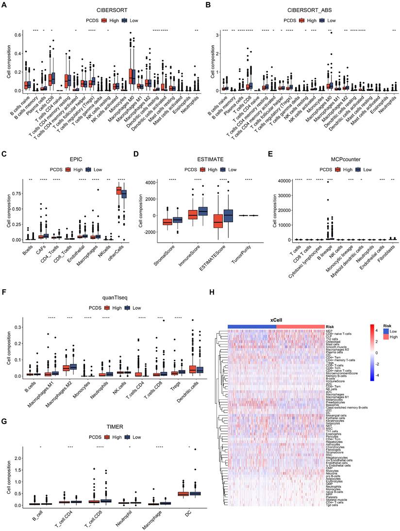 J Cancer Image