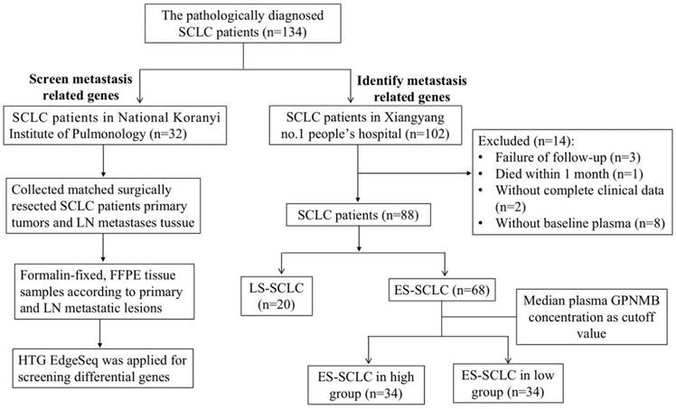 J Cancer Image