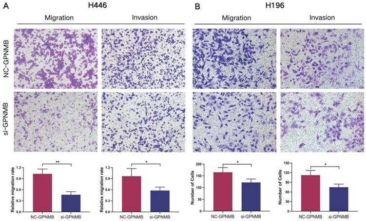 J Cancer Image