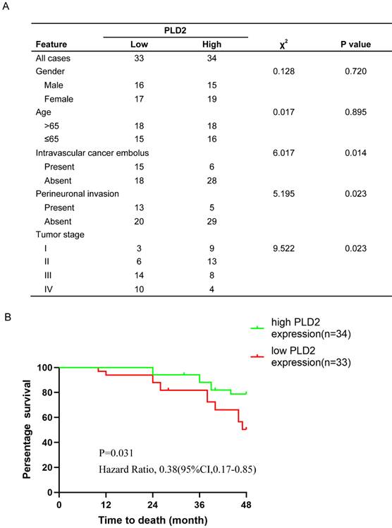 J Cancer Image