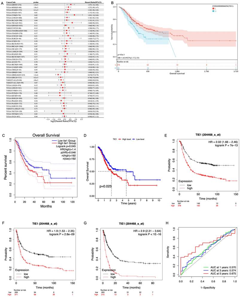 J Cancer Image