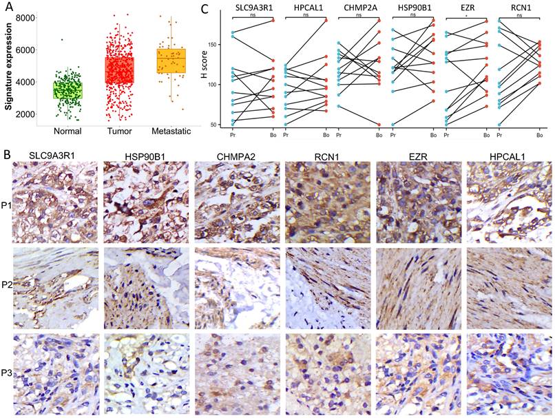 J Cancer Image