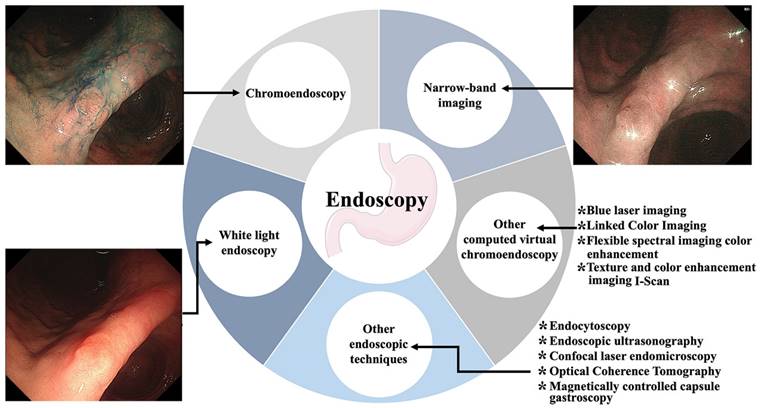 J Cancer Image