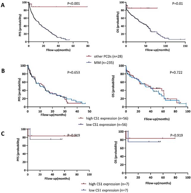 J Cancer Image