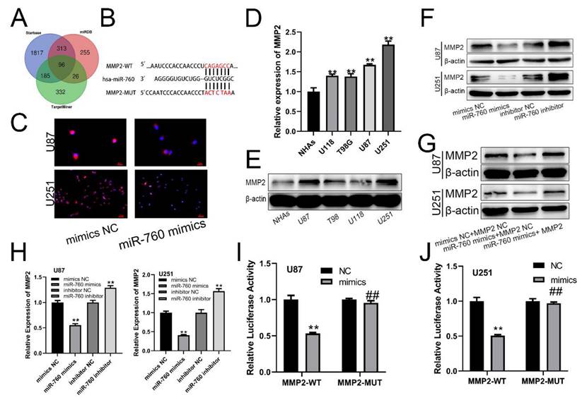 J Cancer Image