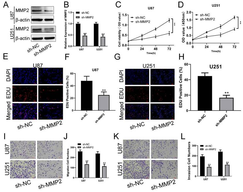 J Cancer Image